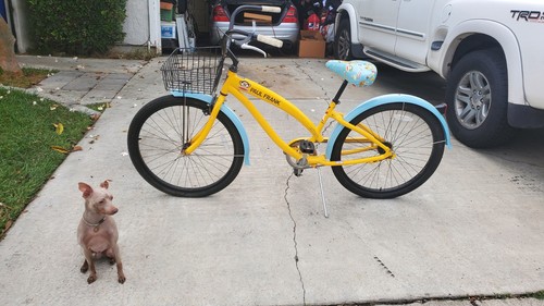 Rare nirve paul frank - 26”,